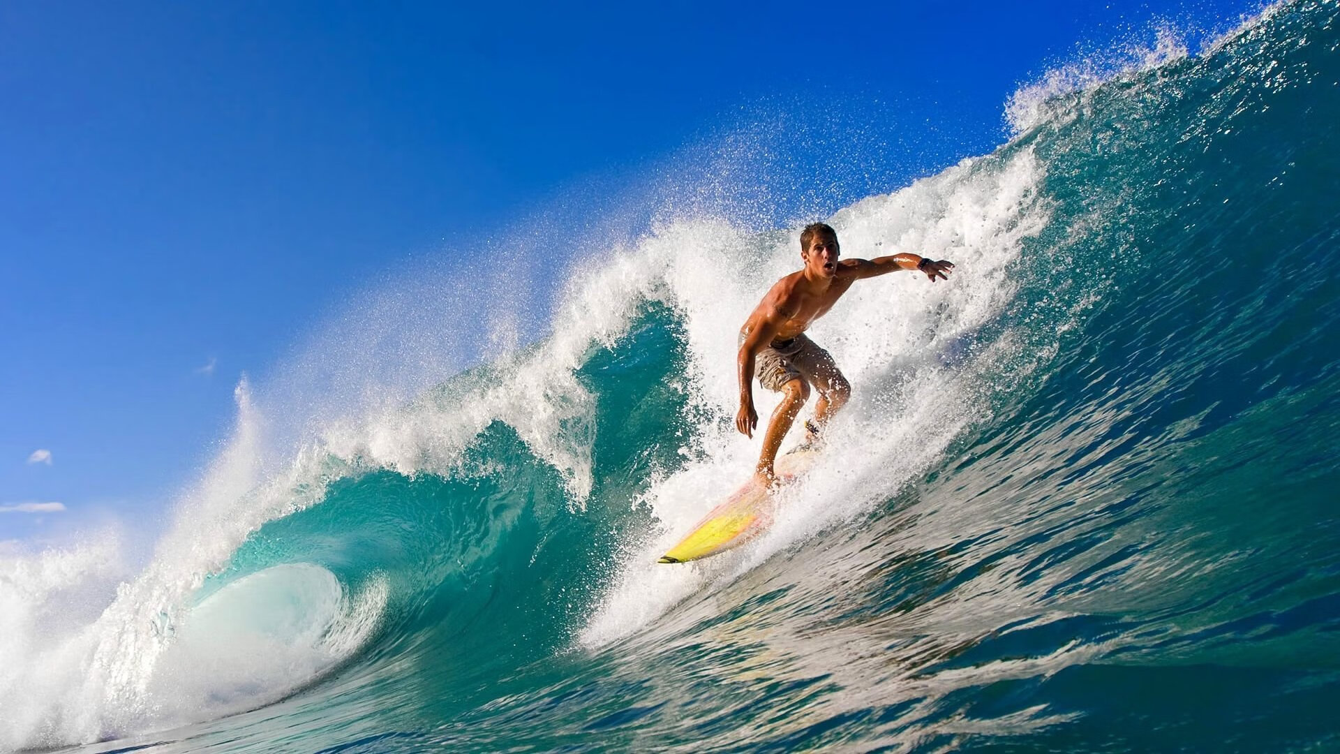 体育新闻中心上线智能体育赛事数据可视化系统，智能体育运动平台