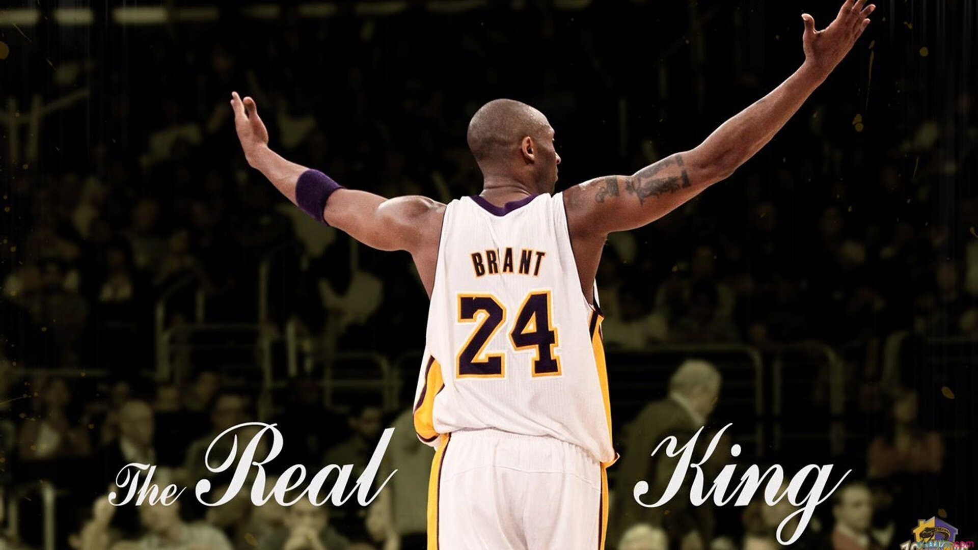 乒乓球大赛全面改革，赛制变化提高挑战性，乒乓球比赛规则改革